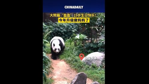 中國(guó)日?qǐng)?bào) 信息網(wǎng)絡(luò)傳播視聽(tīng)節(jié)目的規(guī)范與發(fā)展